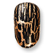 nails - leopard print - runway - dolce & Gabbana