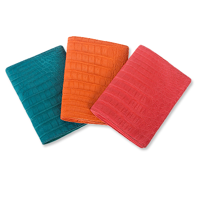 Nancy Gonzalez Passport Cover