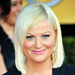 Amy Poehler - Transformation - Hair - Celebrity Before and After