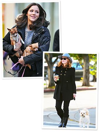 Katherine McPhee, Jessica Chastain