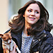 Celebrity Pets: Katharine McPhee and Jessica Chastain Love Their Dogs