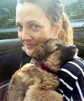 New Pet Alert: Kate Middleton and Drew Barrymore Love Their Dogs!