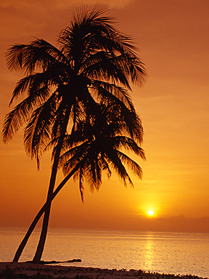 033111-summer-300.jpg