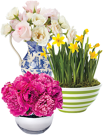 Flower Arrangement Tips
