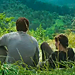 The Hunger Games Trailer: Watch It Now!