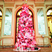 Designer Christmas Trees Now on Display!