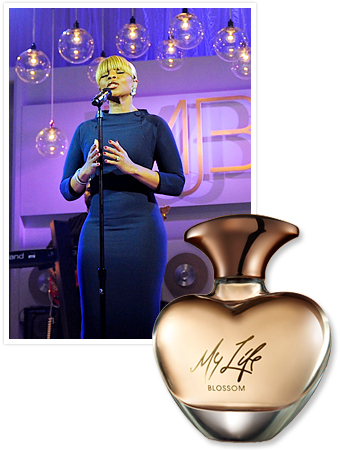 My Life Mary J Blige