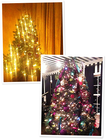 Star Christmas Trees