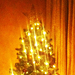 Our Favorite Celebs Show Off Their Christmas Trees!