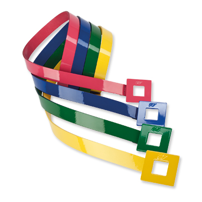 Roger Vivier- belt - We're Obsessed