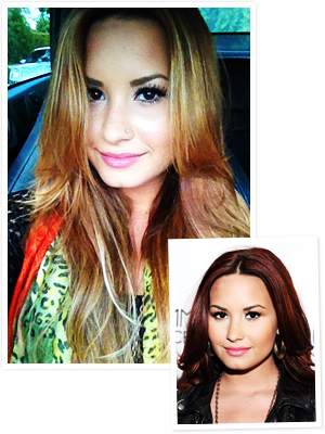 Demi Lovato Blonde Hair Twittercom ddlovato Vivien Killilea WireImage