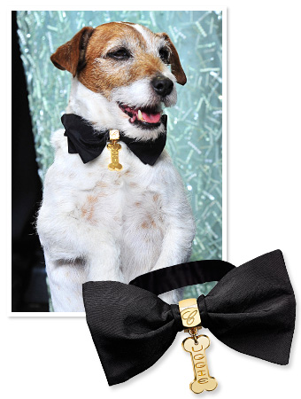 Uggie
