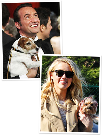 Jean Dujardin, Uggie, Amber Heard