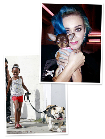 Zahara Jolie-Pitt and Jacques, Katy Perry and Gucci