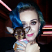 Celebrity Pets: Angelina Jolie's Bulldog, Katy Perry's Chihuahua Moment