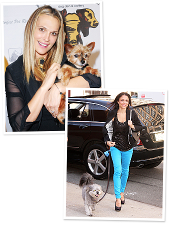 Molly Sims, Bethenny Frankel