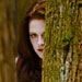 First Look: The Twilight Saga: Breaking Dawn&mdash;Part 2