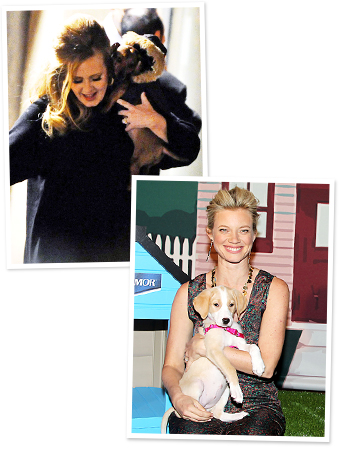 Adele, Amy Smart