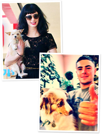 Zac Efron, Krysten Ritter