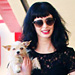Celebrity Pets: Zac Efron and Krysten Ritter's Furry Friends