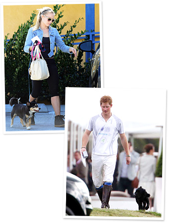 Kristen Bell, Prince Harry and Lupo