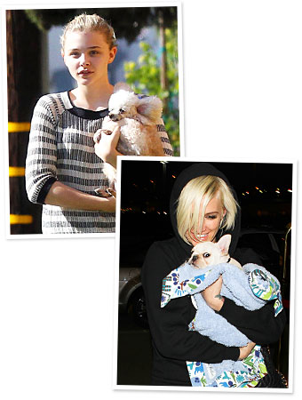 Chloe Moretz, Ashlee Simpson