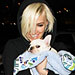 Celebrity Pets: Chloe Moretz and Ashlee Simpson's Dogs