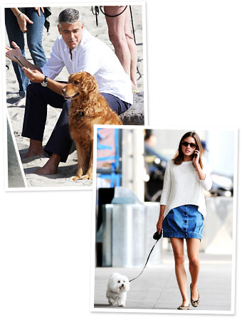 George Clooney, Olivia Palermo
