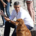 Celebrity Pet Update: George Clooney and Olivia Palermo's Pup Moments