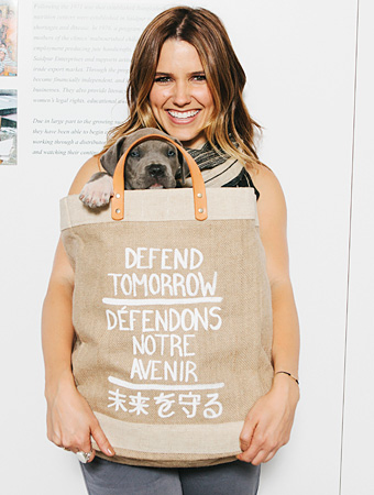 Sophia Bush