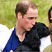 Celebrity Pet Update: Puppy Love for Prince William and Kristen Bell