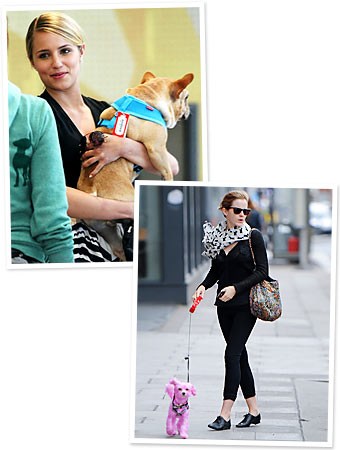 Dianna Agron, Emma Watson