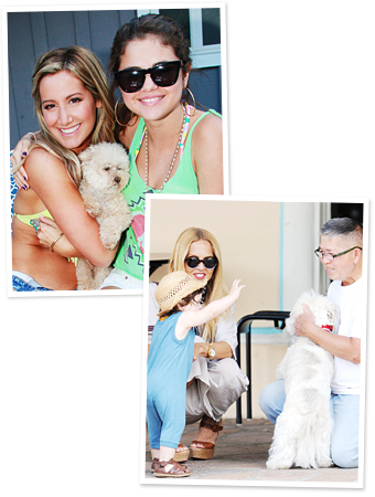 Ashley Tisdale, Selena Gomez, Rachel Zoe