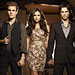 The Vampire Diaries Poll Results: You Picked Damon!