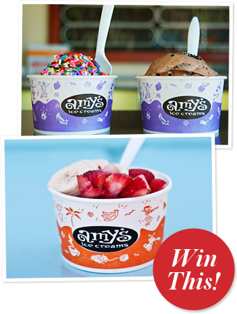Amy's Ice Cream Giveaway