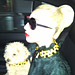 Gaga Matches Her Dog, Oprah Talks to Rihanna, and More