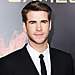 Teresa Palmer: "Liam Hemsworth Is a Wonderful Guy"