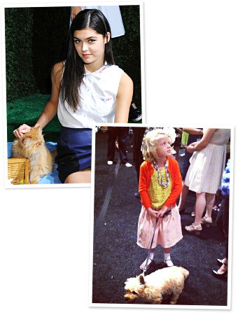 Fashion Week animals