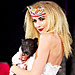 Fashion Week Pet Update: More Critters Hit the Catwalk!