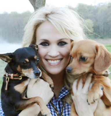 Carrie Underwood Dogs