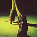 Watch the Film James Franco Directed for Stuart Weitzman