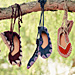 New: Hand-Woven Shoes by Painted Bird