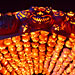 Halloween 2012: Events Happening Across the Country