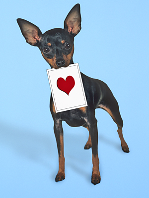 101712-valentines-poll-9-300.jpg