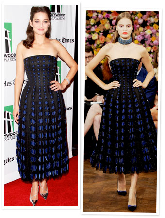 Christian Dior Marion Cotillard