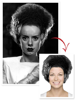 Bride of Frankenstein Hair