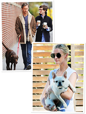 Celebrity Pets