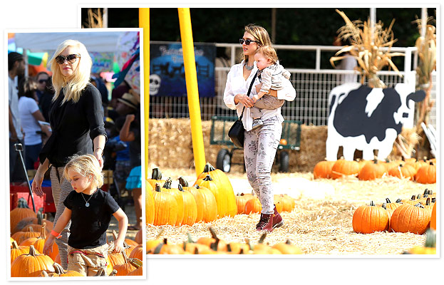 Mr. Bones Pumpkin Patch
