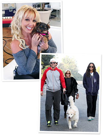 Britney Spears and Bradley Cooper