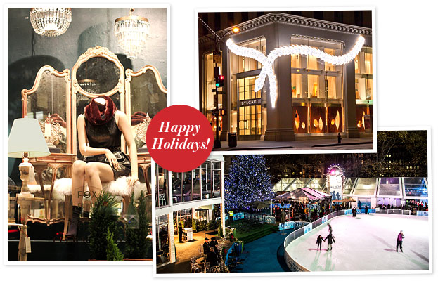 Holiday Windows